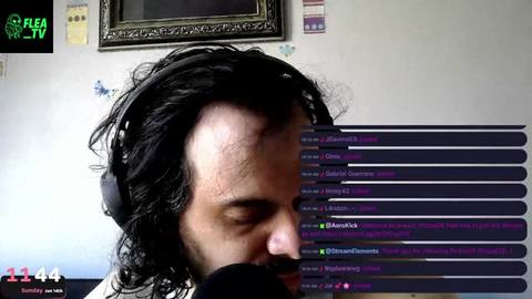 Flea_TV
